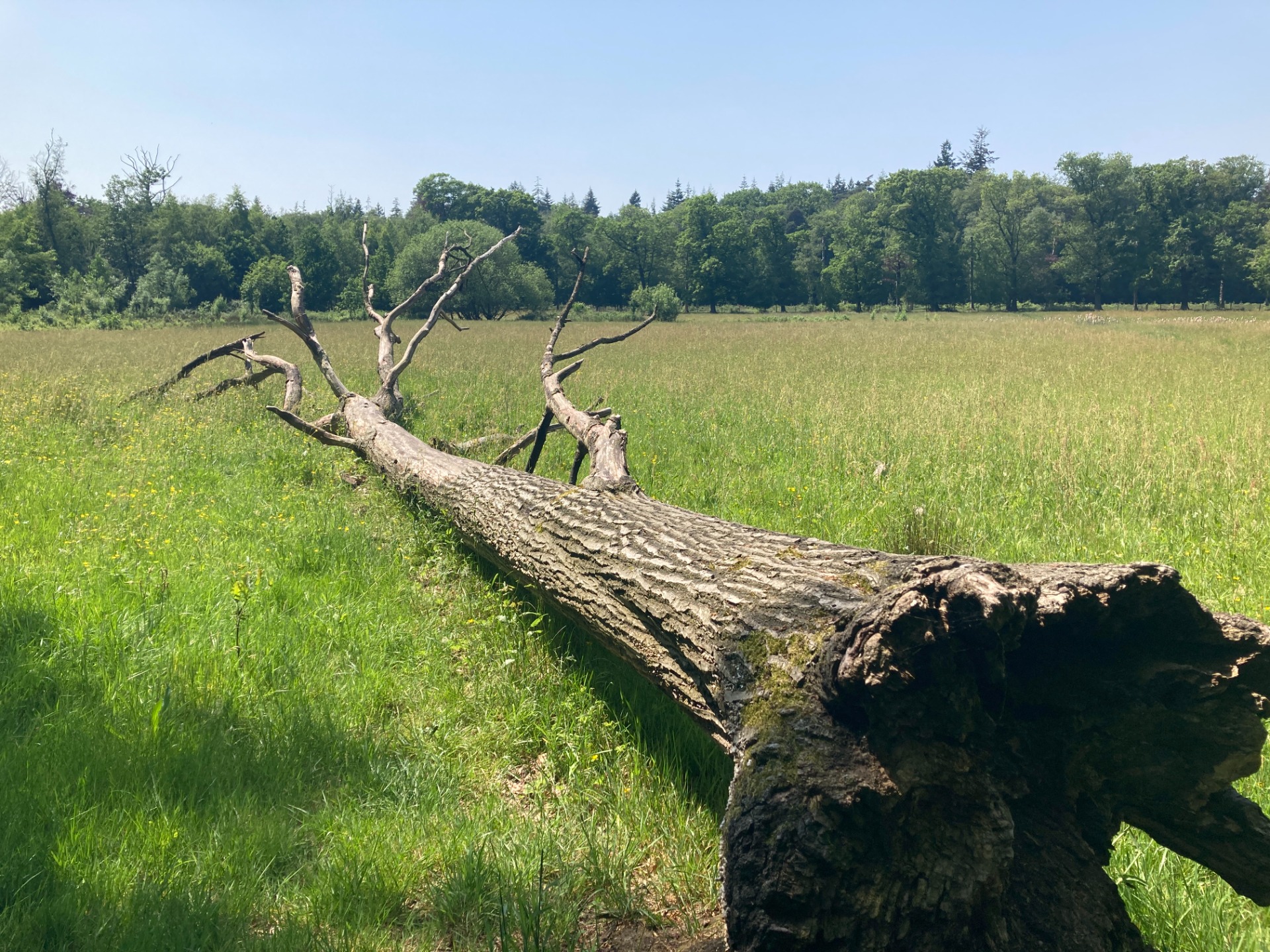 Doeverenwandelroute