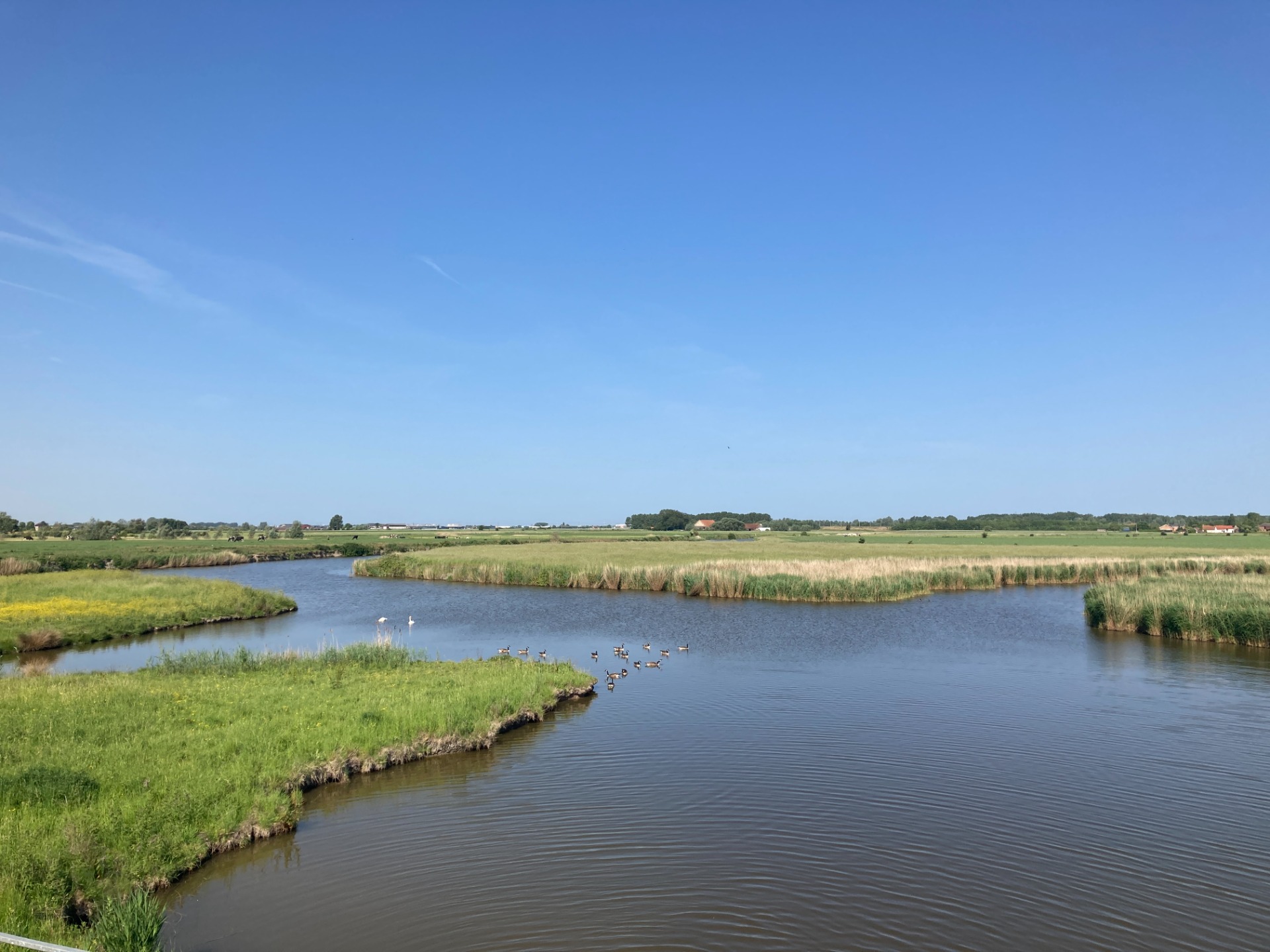 Oostendse Kreken